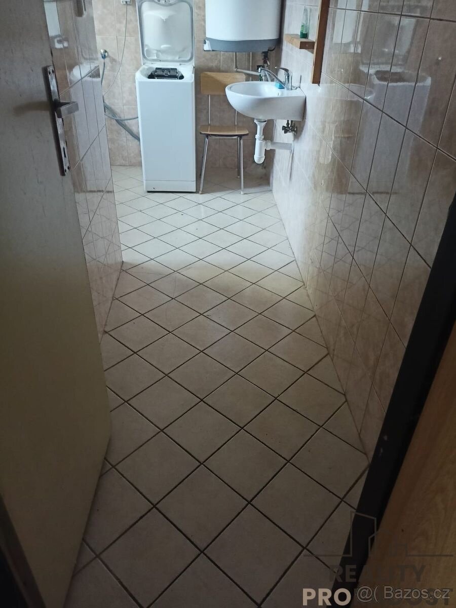 Pronájem bytu 1+kk 117m2 - Veselice - Vavřinec - 11