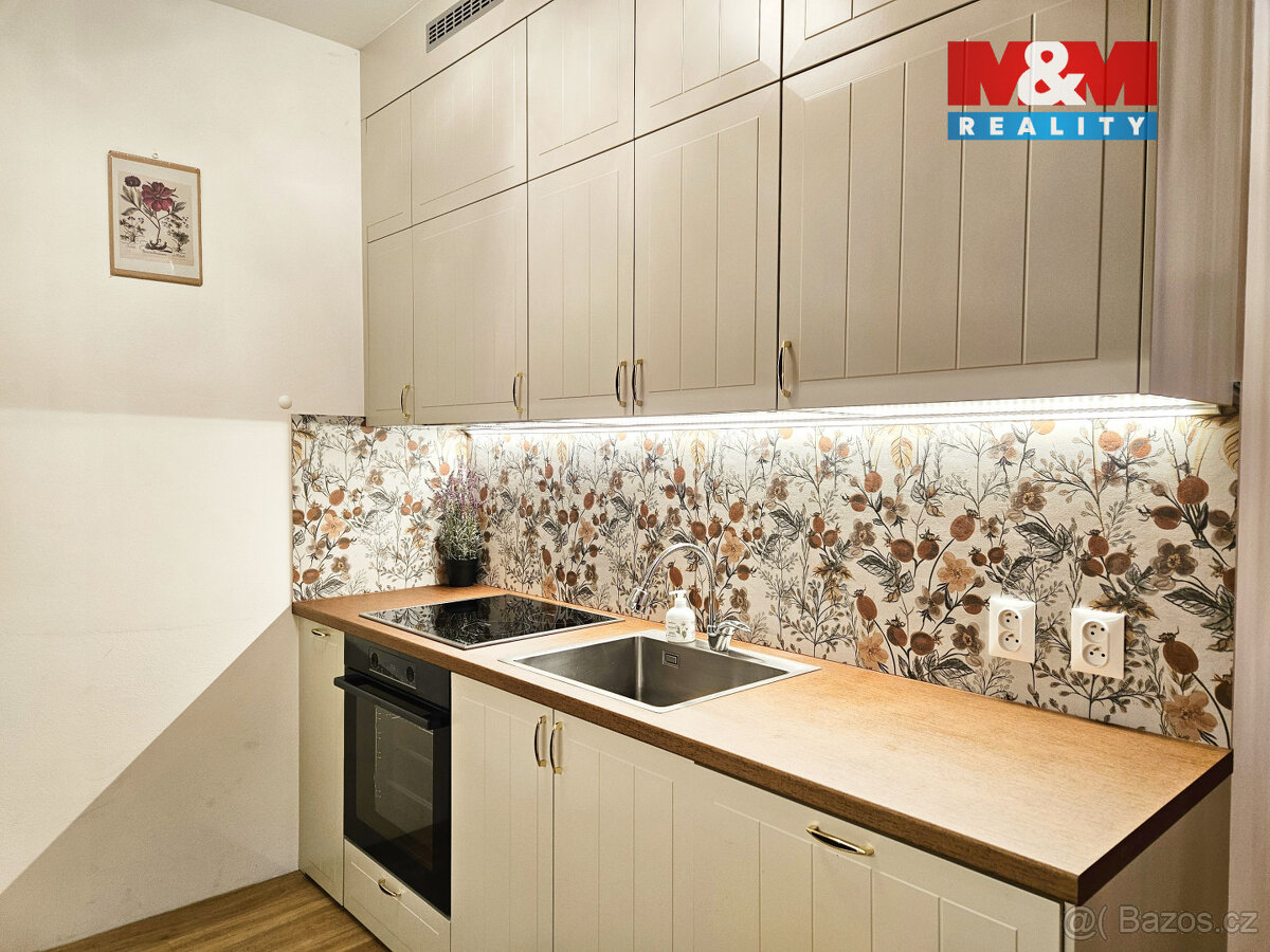 Pronájem bytu 1+kk, 30 m², Bradlec, ul. U Borku - 11