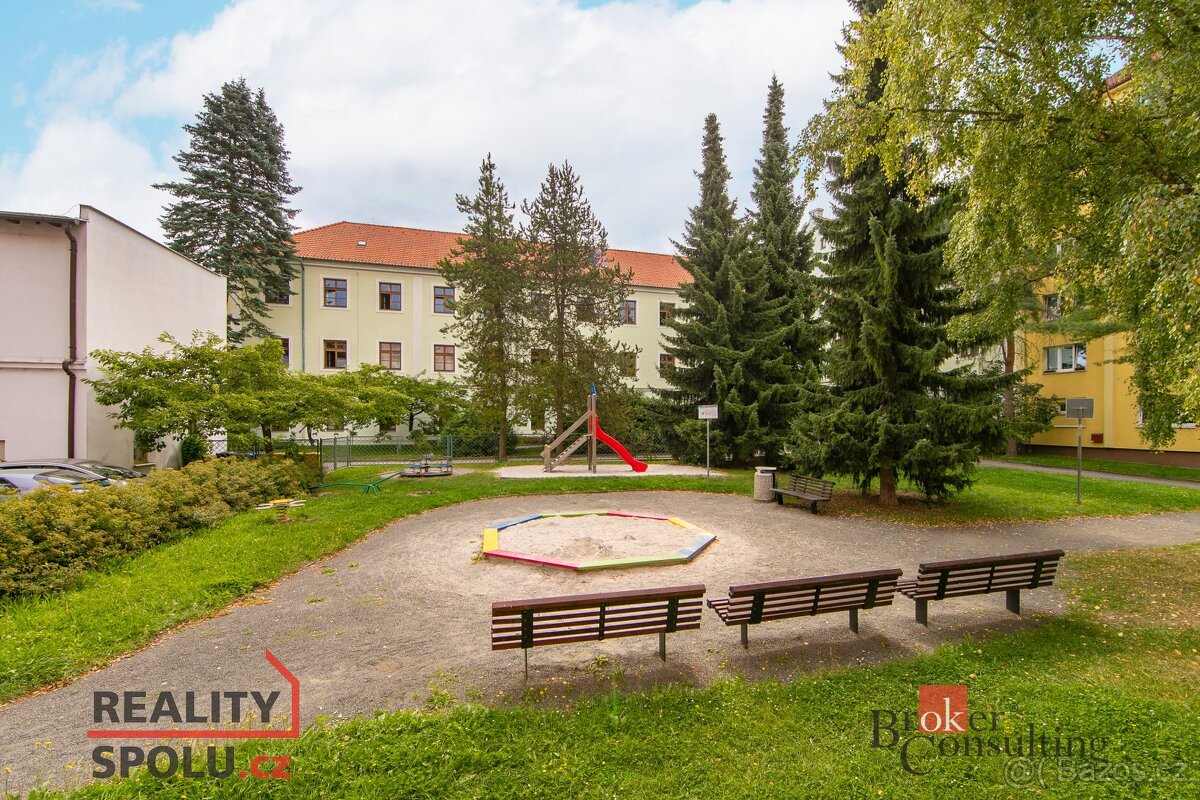 Převod dr. podílu, byty/2+1, 56 m2, Josefa Knihy 182, 33701 - 11