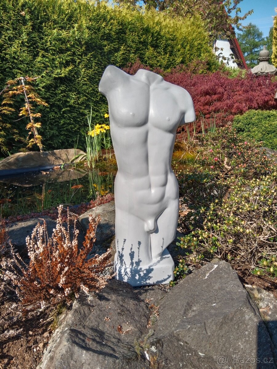 Torzo mužského těla 50 cm - 11