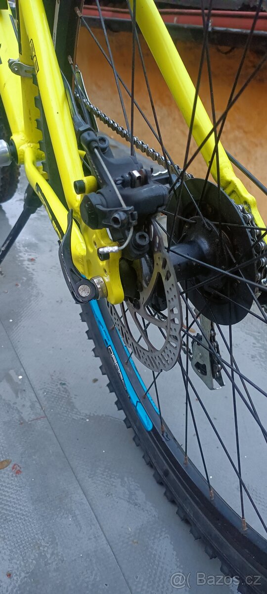 Leader Fox "26" - 11