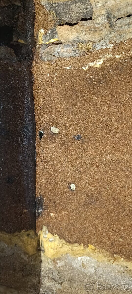 Skleněné terárium 120×80×40 cm - 11