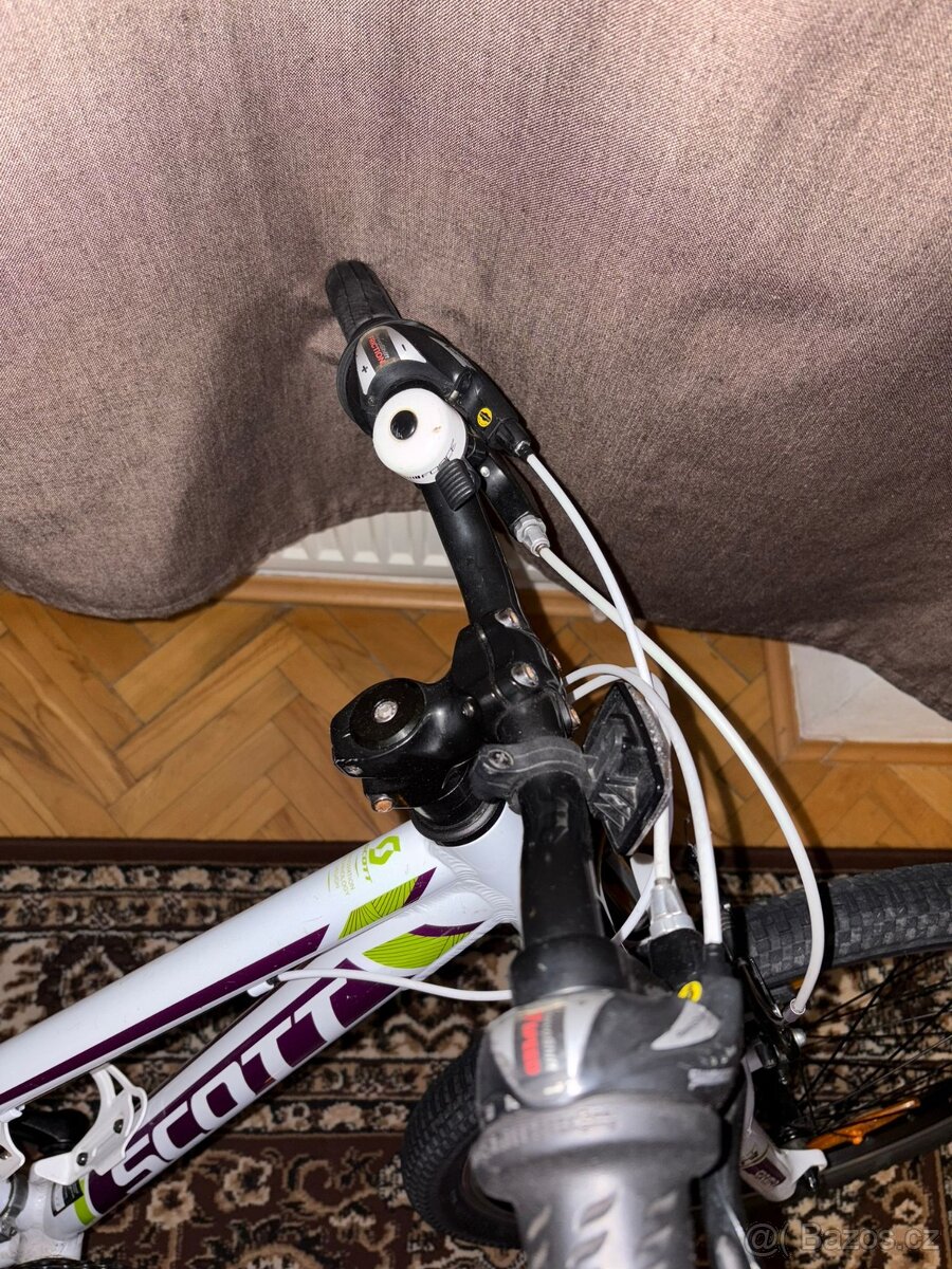 Scott Contessa - 11
