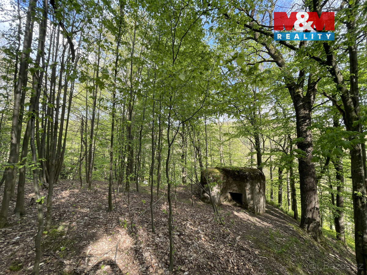 Prodej zahrady, 2545 m², Chrastava, Andělská Hora - 11