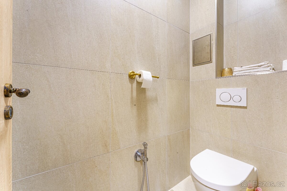 Prodej bytu 2+kk v osobním vlastnictví 55 m², Čím - 11