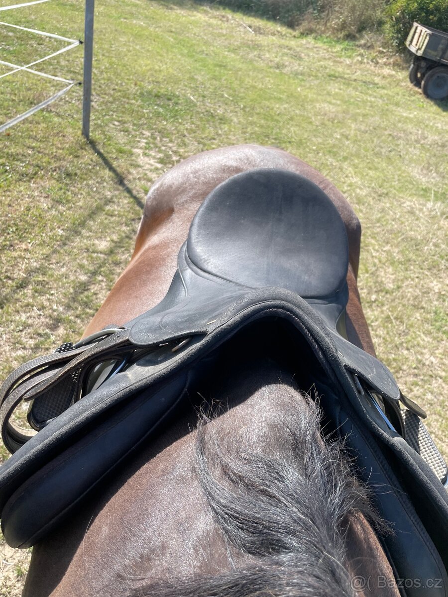 Sedlo wintec 2000 - 11