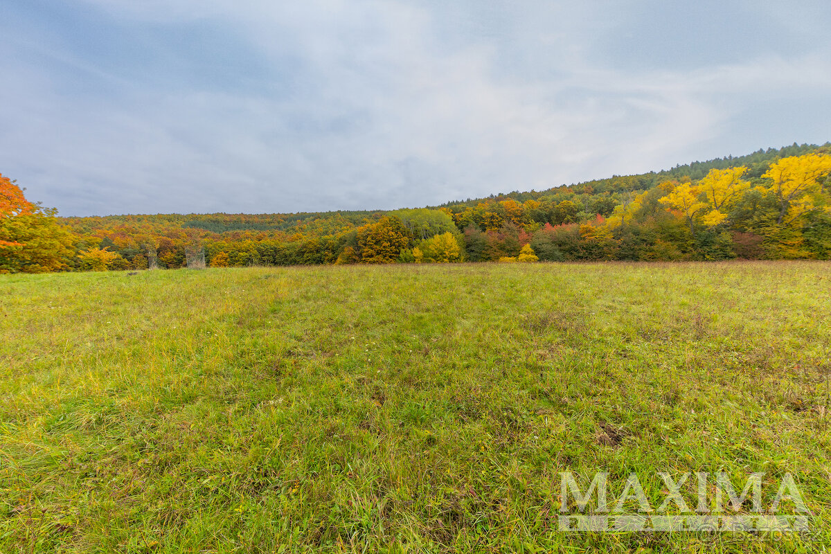 Pozemek o ploše 5229 m2 - Lažany, Lažany - 11