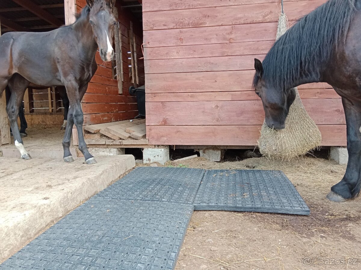 Stájové rohože, do boxů pro koně - sleva 7% - 11