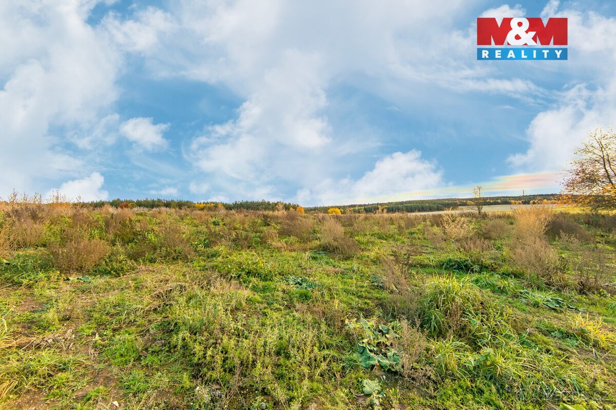 Prodej louky, 672 m², Vysoká Libyně - 11