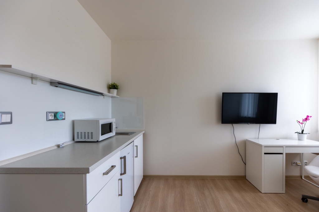 Prodej komerční objekt s ubytováním, Starý Jičín - 11