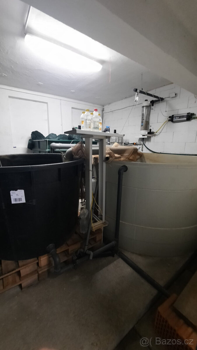 AQAPONICKA FARMA Pronajem - 11