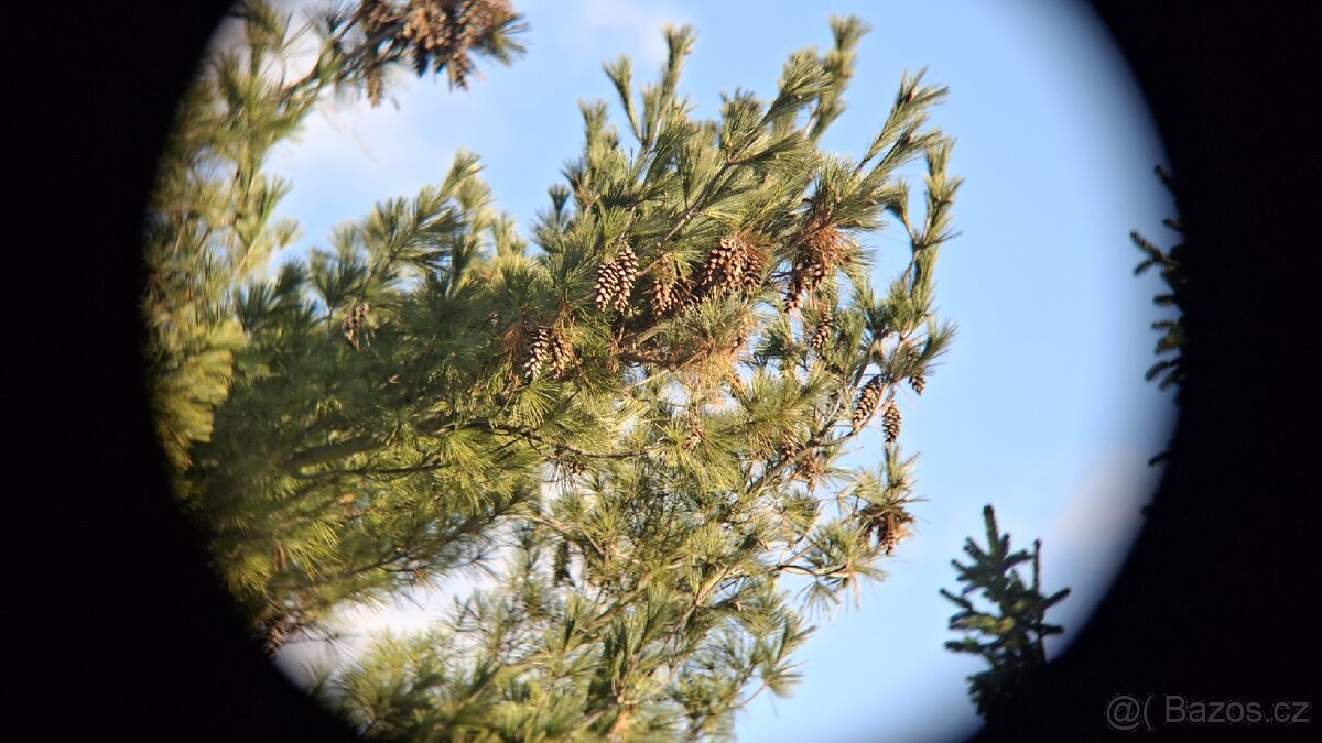 Dalekohled BPC 10X50 SOTEM - 11