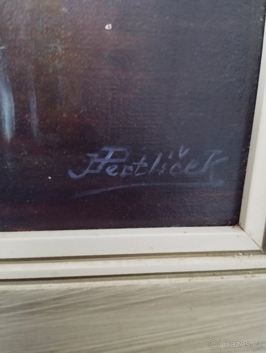 Obrazy malířů Vysočiny - 11