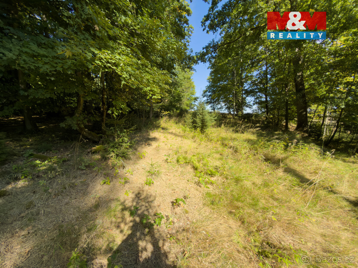 Prodej lesa, 1.757 m², Podhrad, Cheb - 11