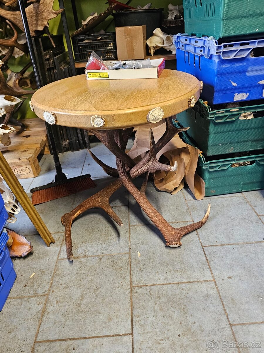 Paroží,trofeje,shozy,obrazy - 11