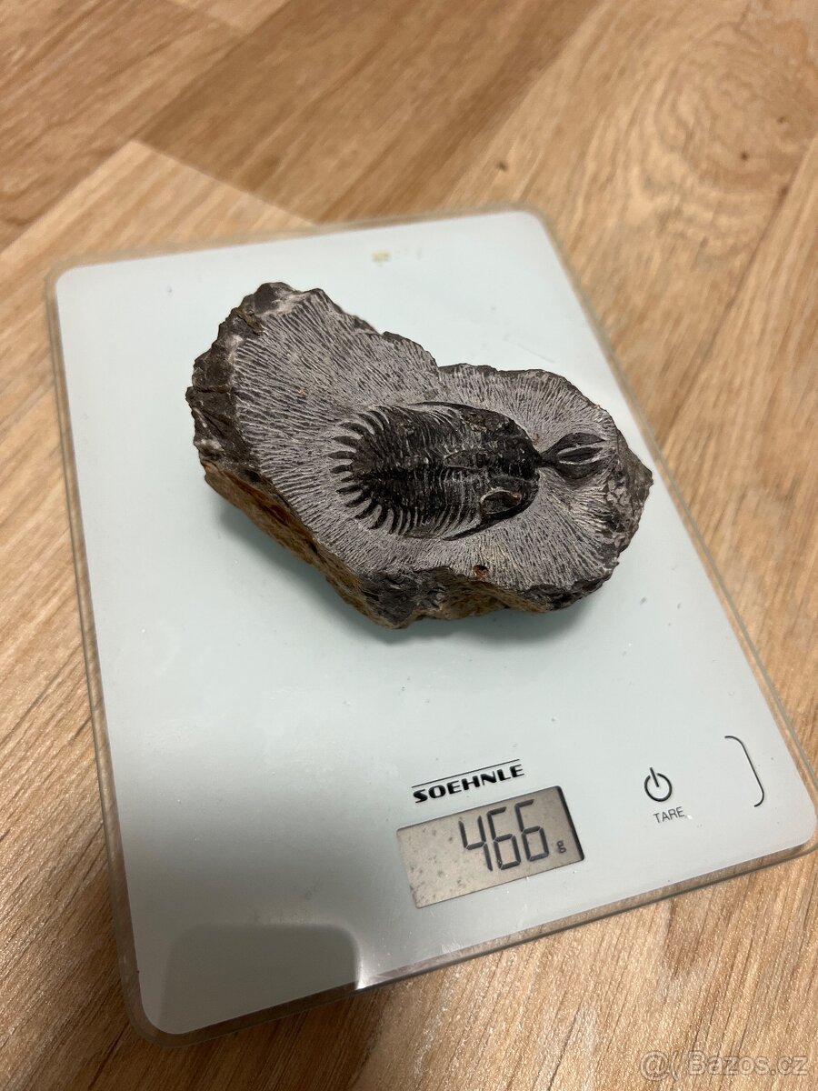 Nerosty a minerály - 11