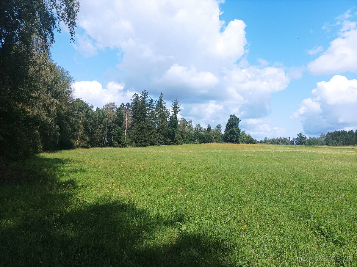 Zemědělská půda Popelín - Jindřichův Hradec - 11