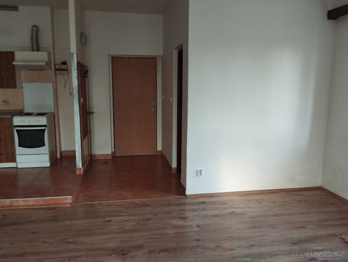 Pronájem bytu 1+KK, 60 m², Karlovy Vary - Počerny - 11