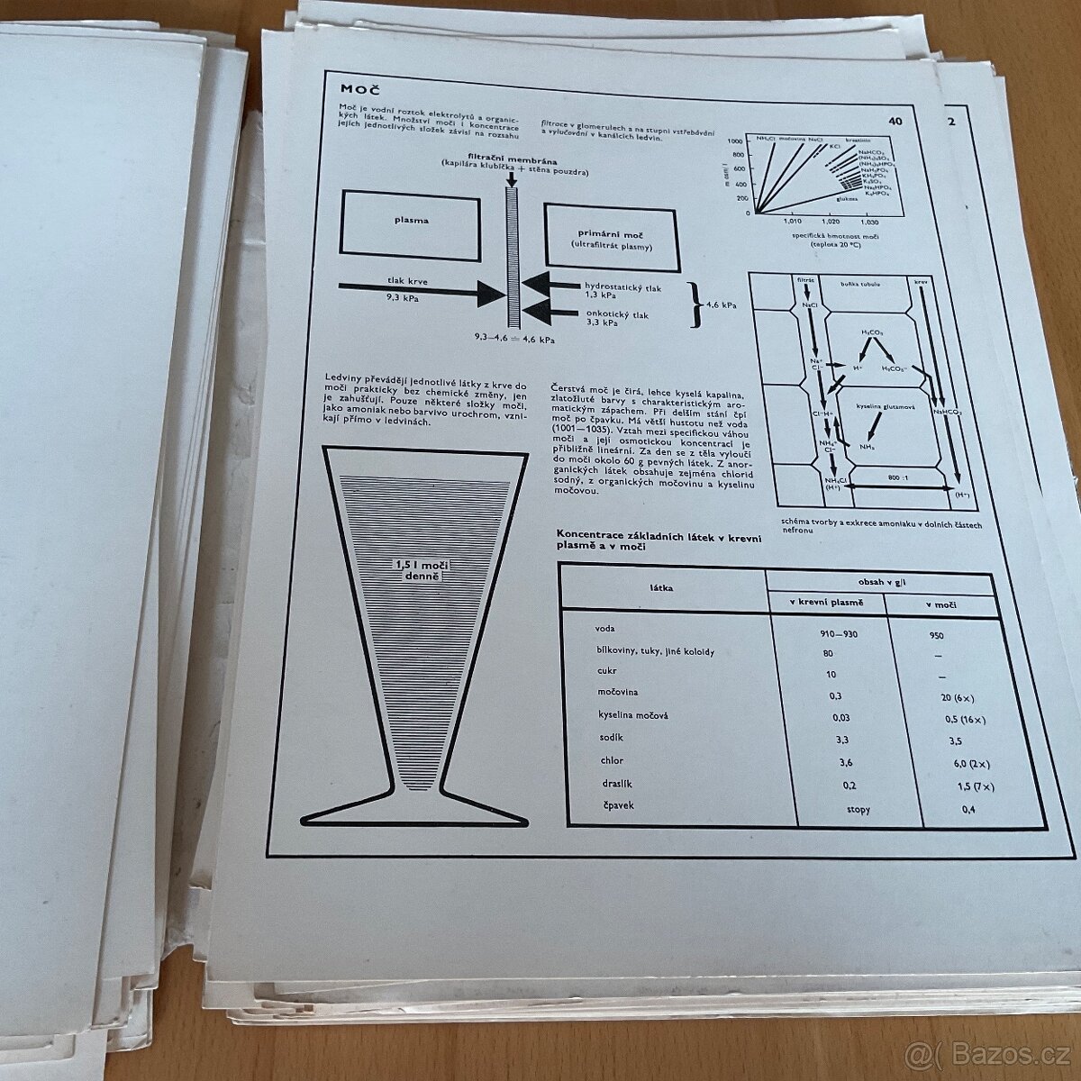 Retro- Biologie člověka v obrazech- A4 - 11