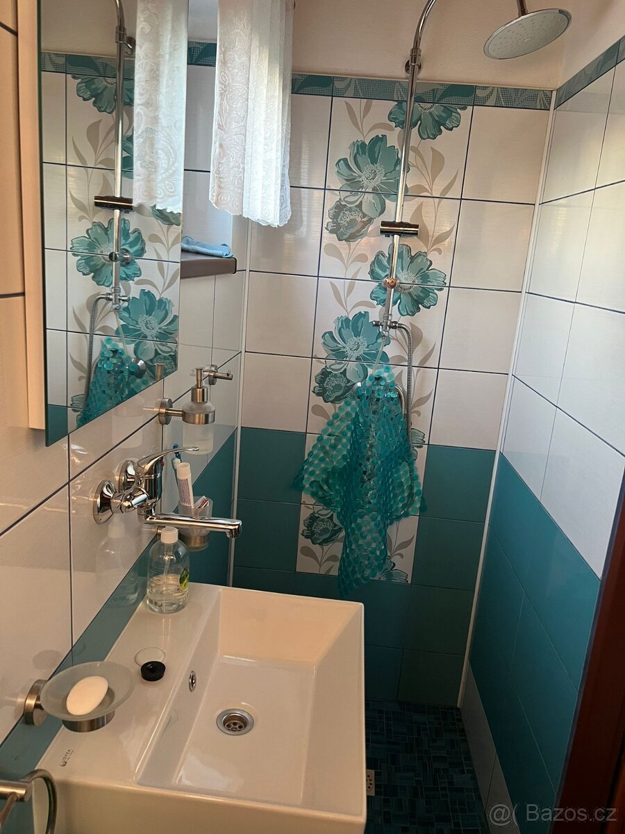 Krásná zděná chata u rybníka Brodský - 11