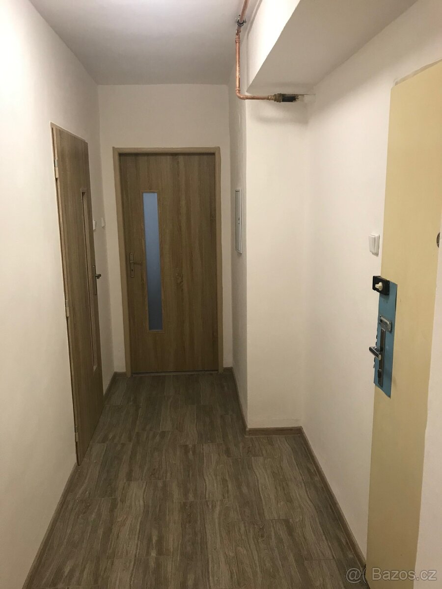 Pronájem bytu 1+1, 42 m² v Mor. Budějovicích, Myslbekova - 11