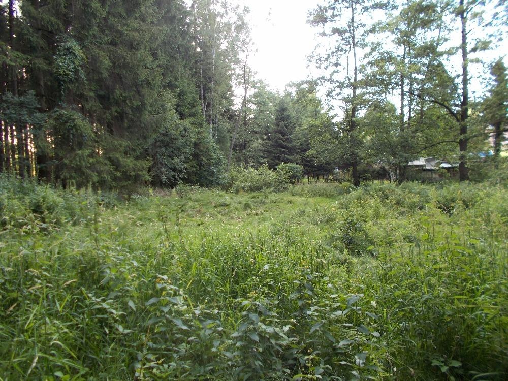 Prodej louky 3266 m² - 11