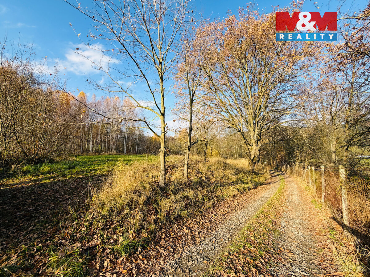 Prodej pole, 5000 m², Šumperk - 11