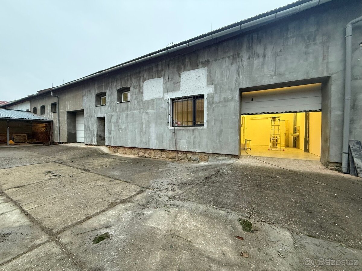 Bzenec-prostory k pronájmu - 11