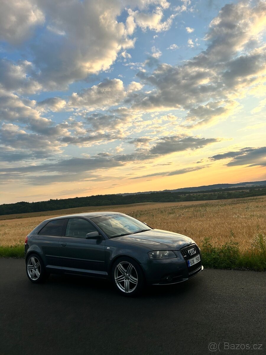 Audi A3 8p 1.9TDI - 11