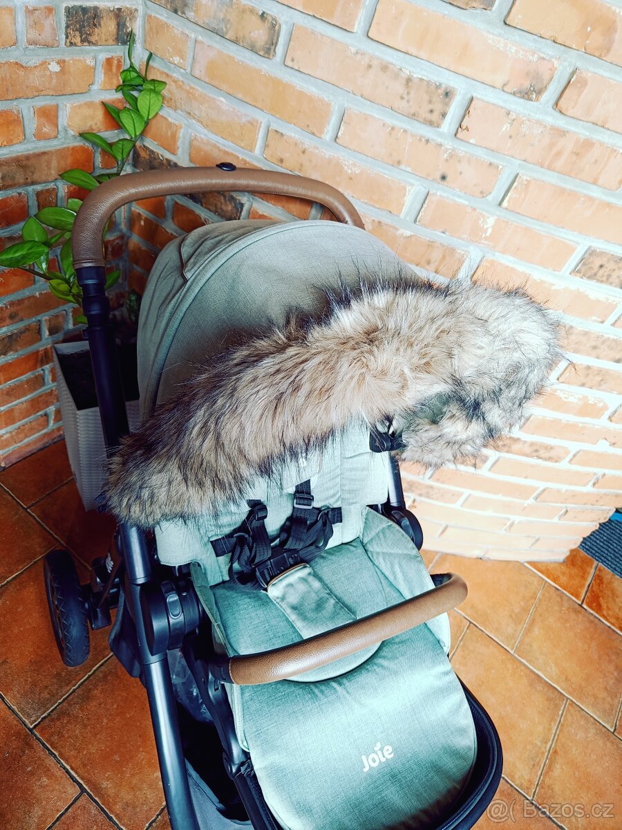 Joie Versatrax - 11