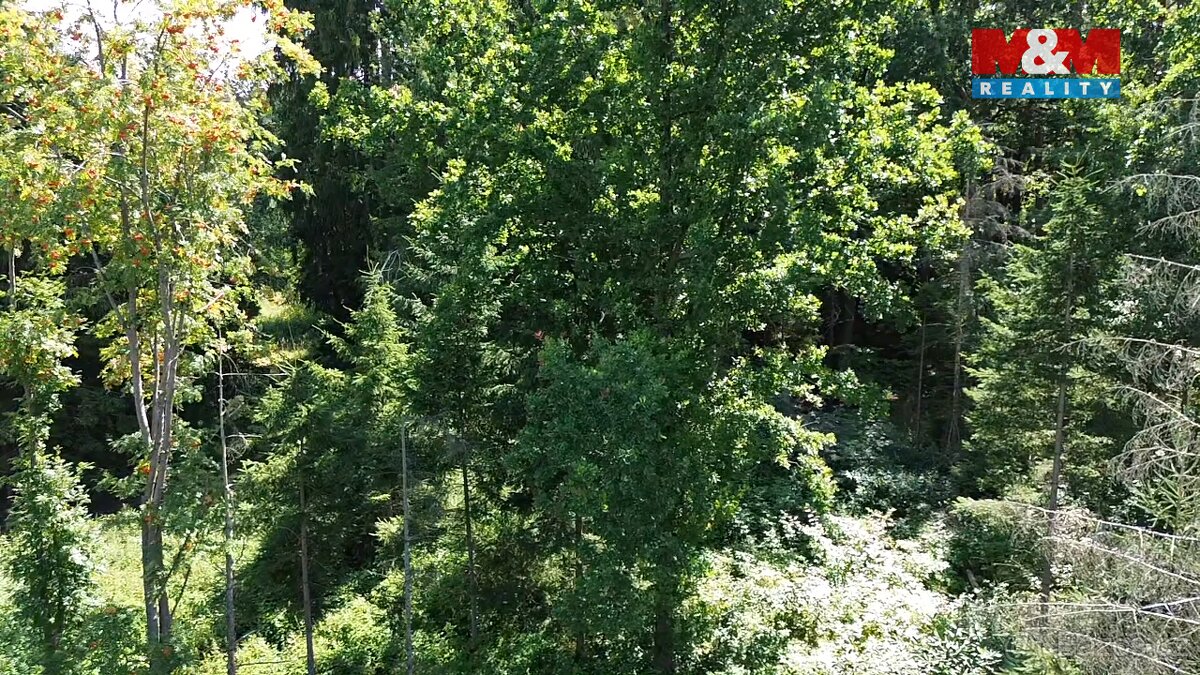 Prodej lesa, 5323 m², Opařany - 11