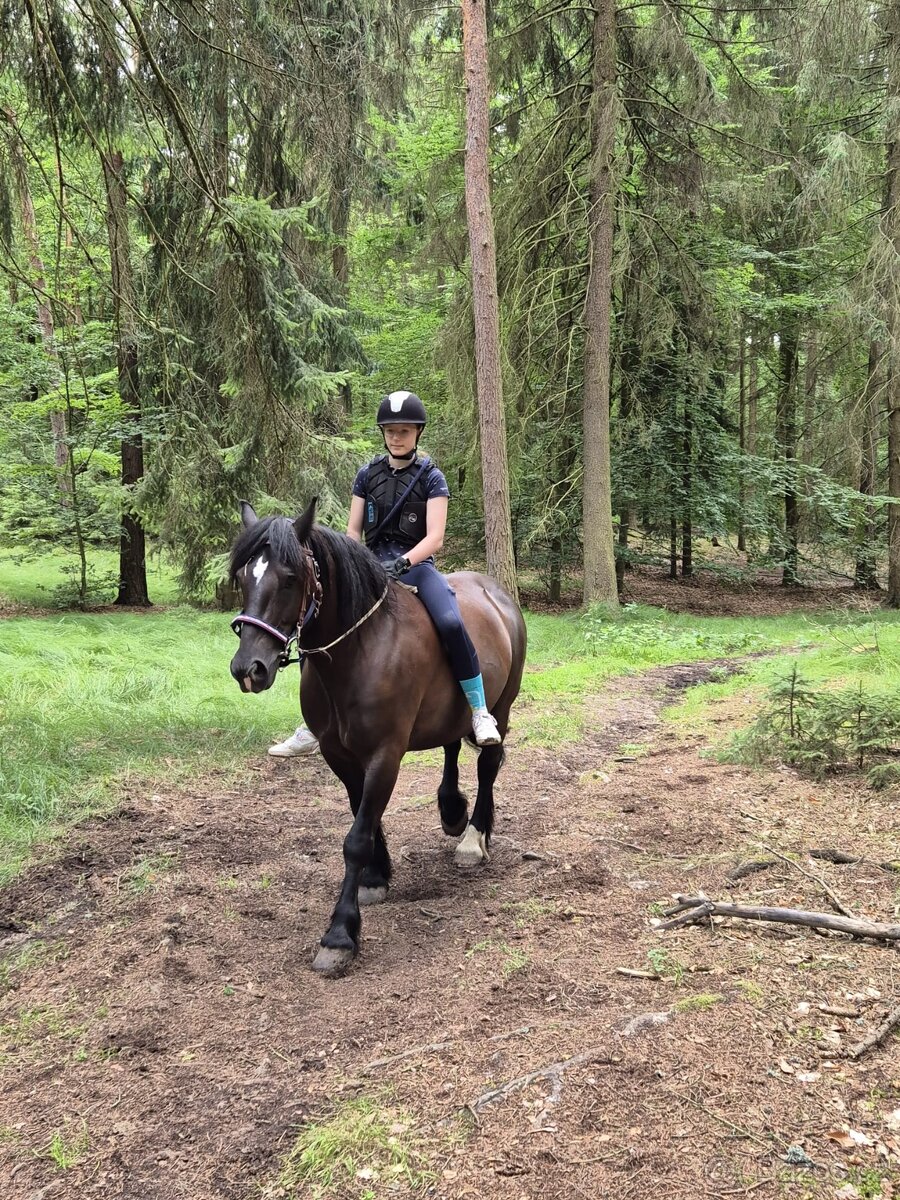 Tábor pro opravdové koňáky - 11