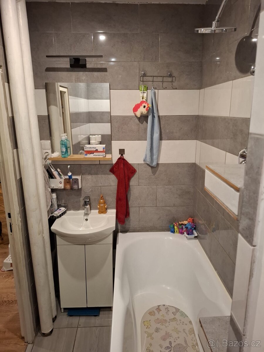 Byt k pronájmu - 11