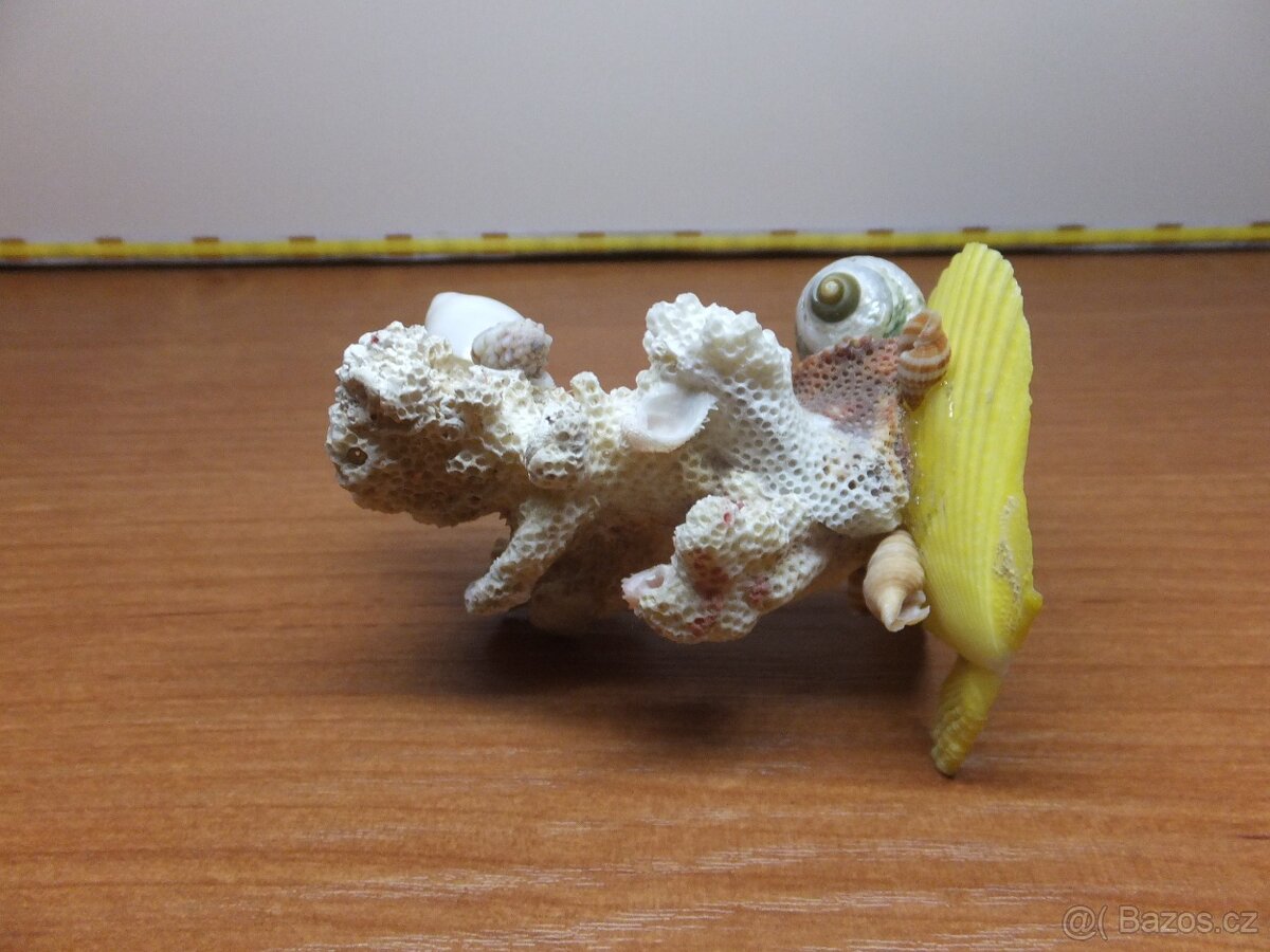 Retro dekorace s pravého mořského korálu a mušlí. - 11