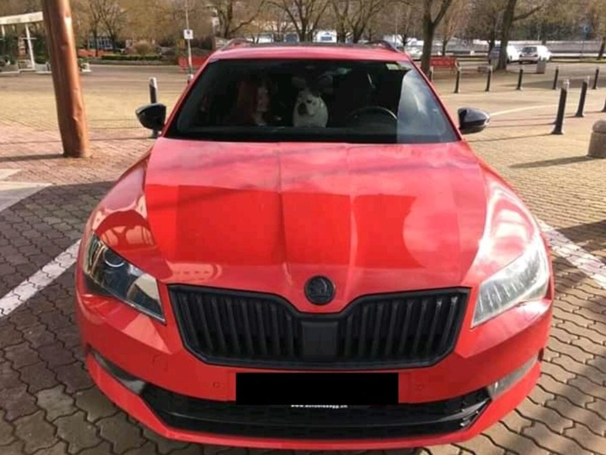 Skoda cerny znak cerne loga emblemy - 11