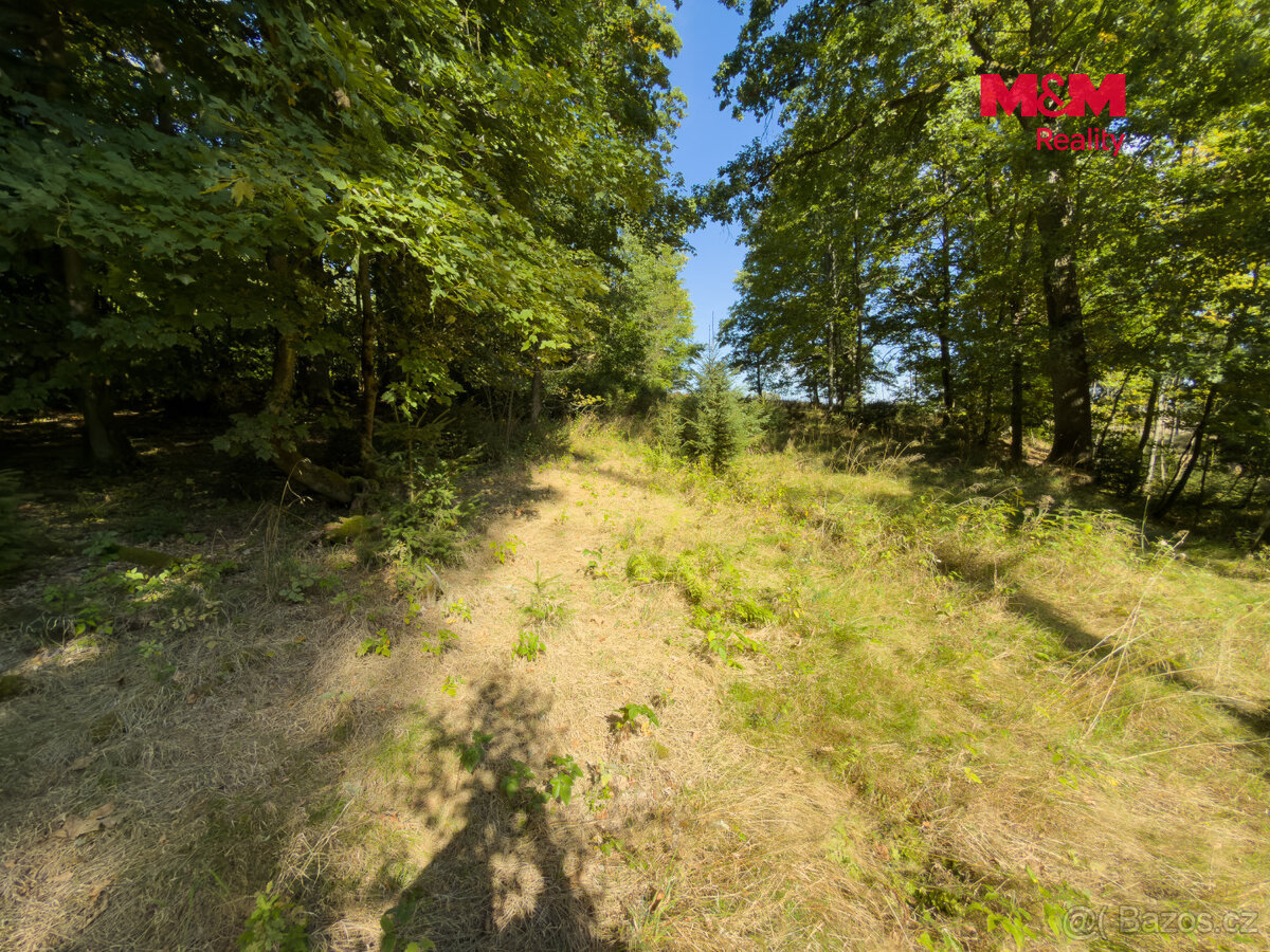 Prodej lesa, 1.757 m², Podhrad, Cheb - 11