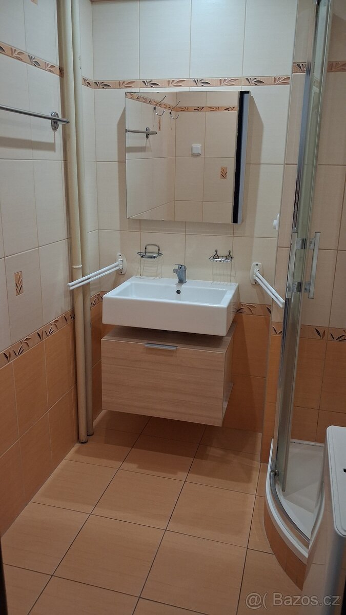 Pronájem bytu - 11