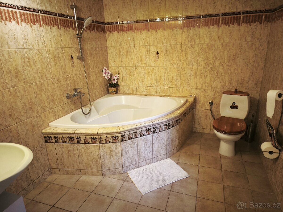 Prodej RD 3+1 se st.p. 1.954 m2 pro RD, sklad a opravny - 11