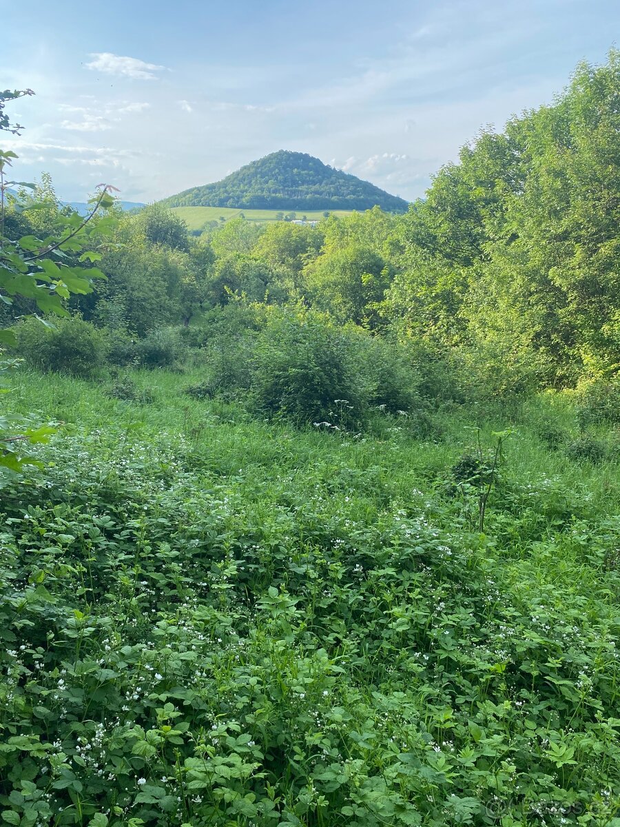 Pronajmu zahradu - 11