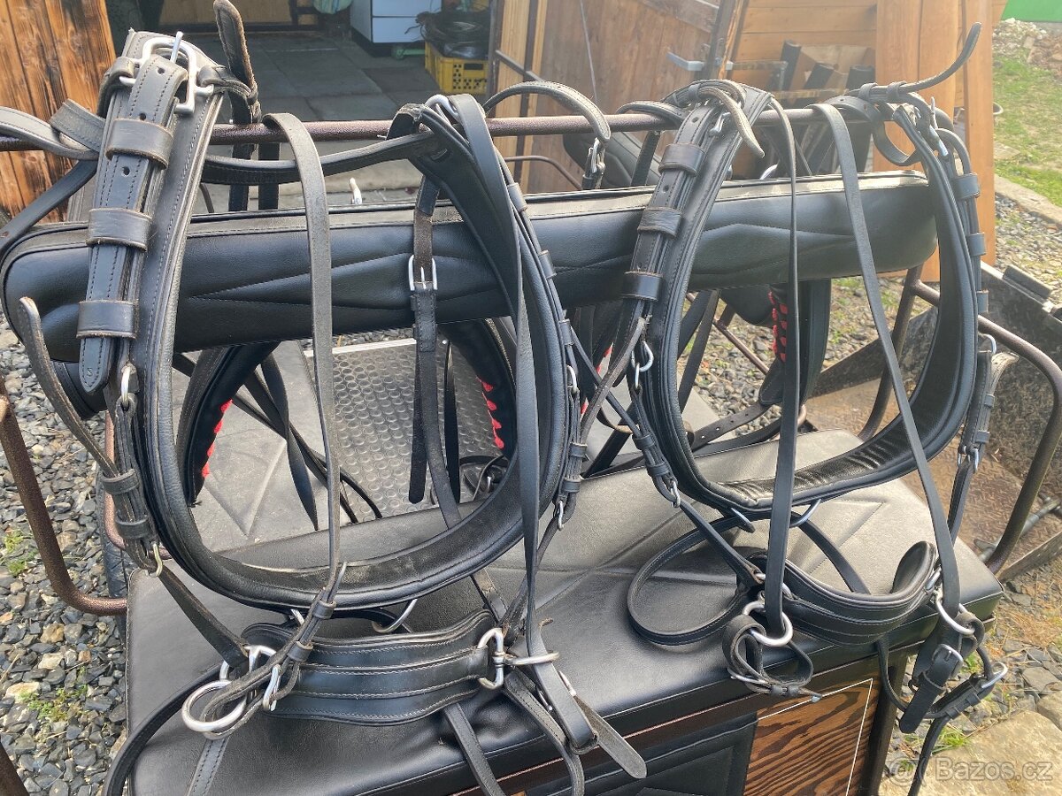 Kočár a postroje na poníky - 11