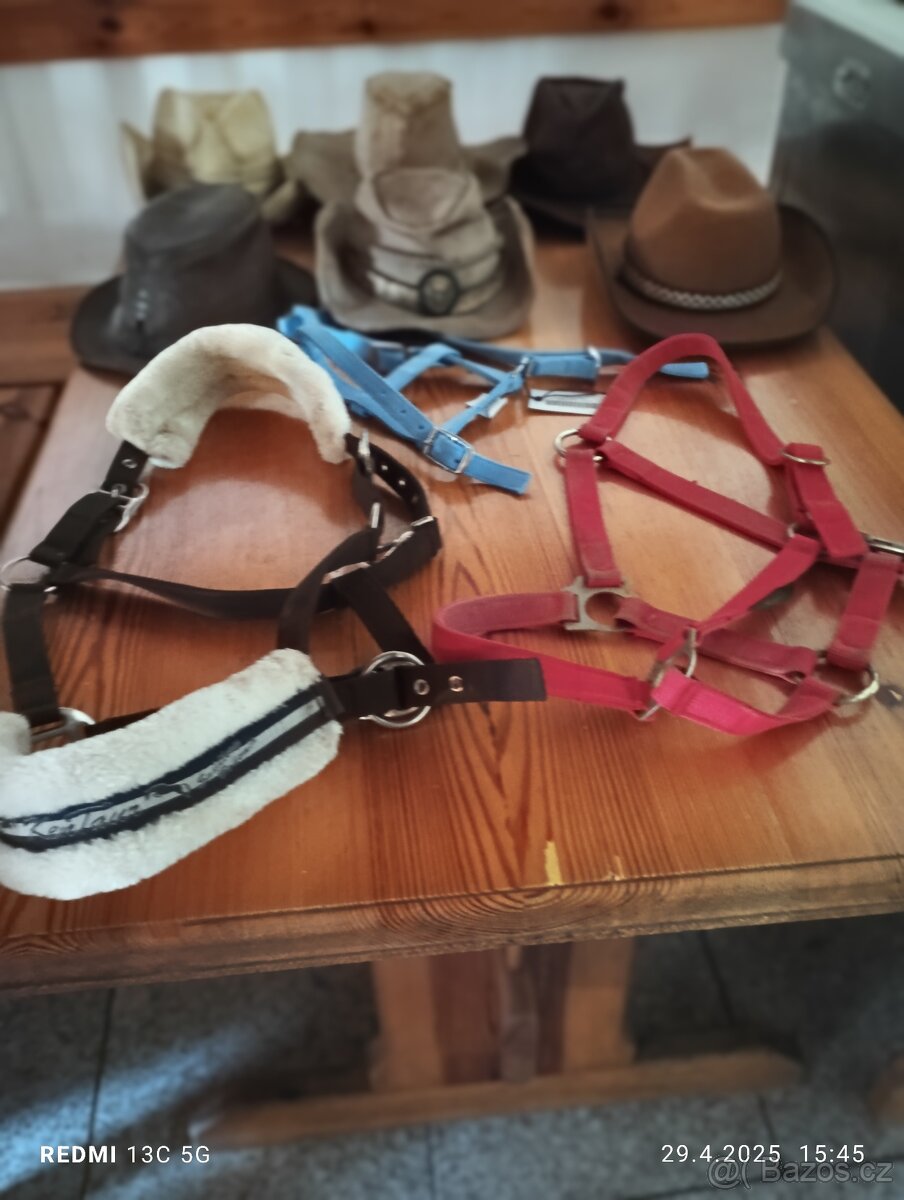 Potřeby pro koně - 11