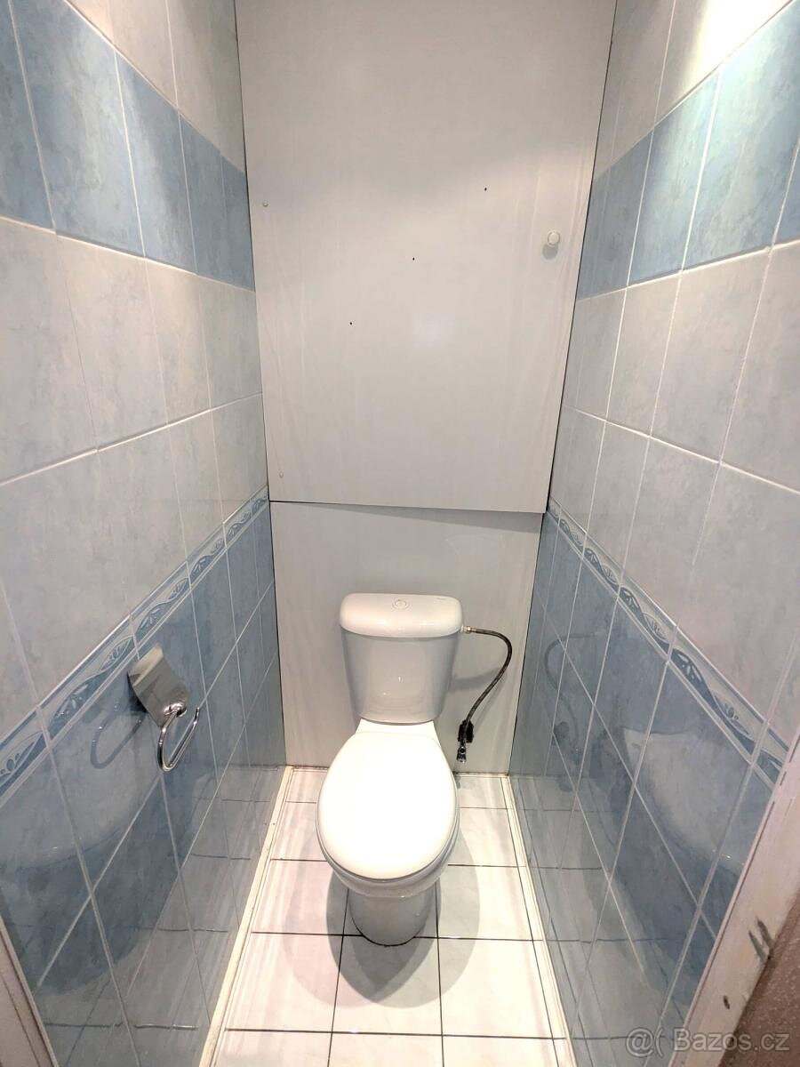 Pronájem bytu 1+1, Alšova 222, Bílina - 11