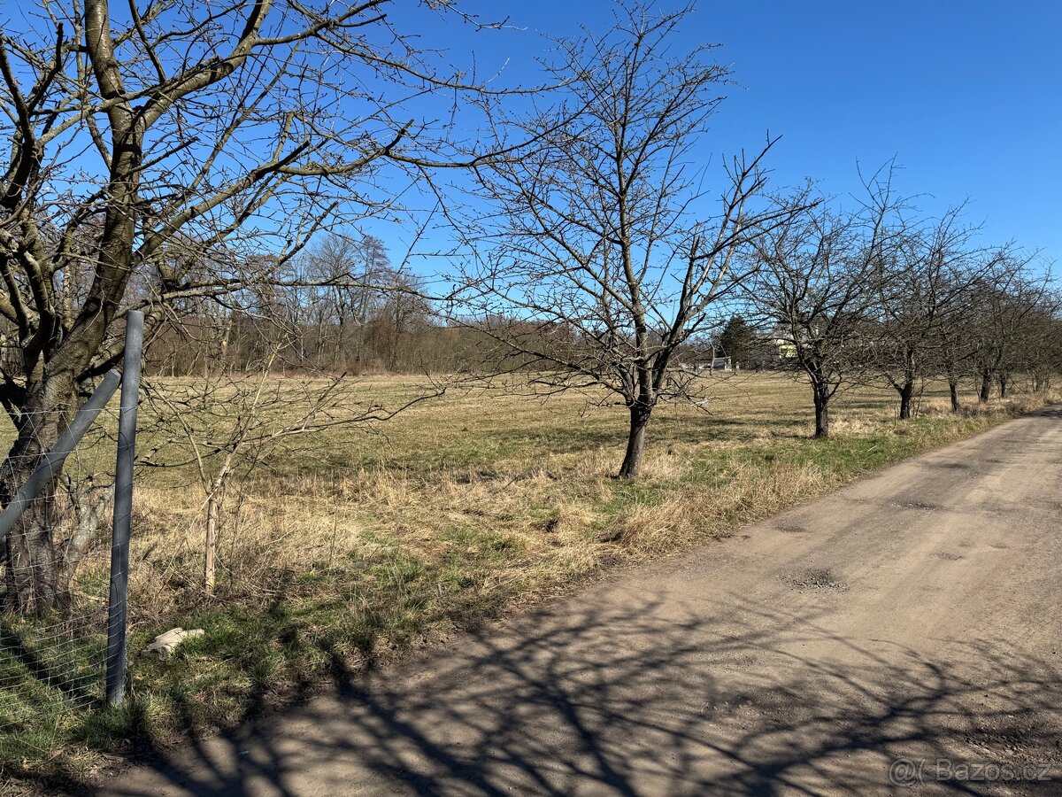 Prodej zahrady 3500m2 - 11