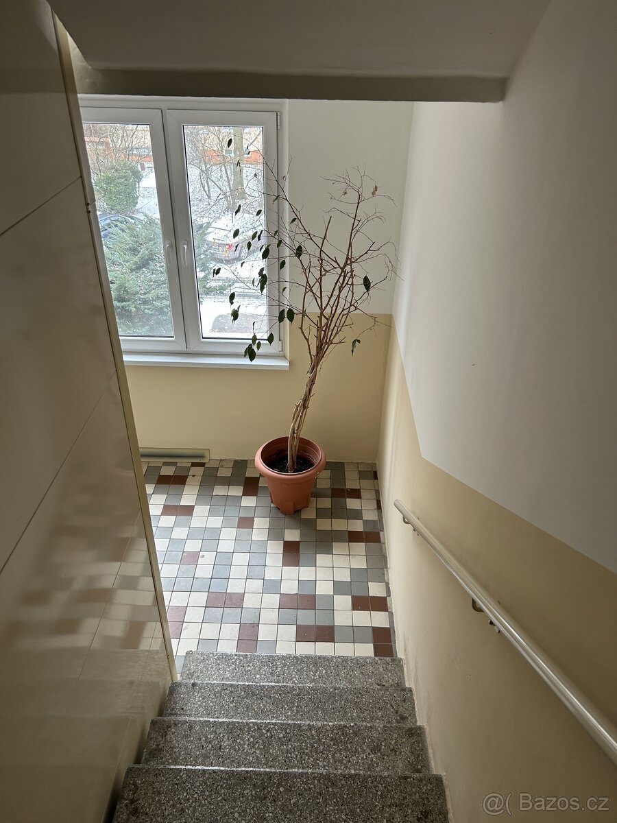 Pronájem panelového bytu 2+1, Svitavy - 11