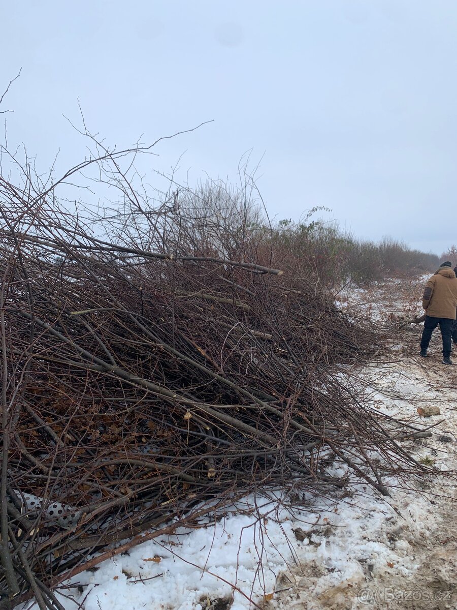 Údržba zeleně - 11