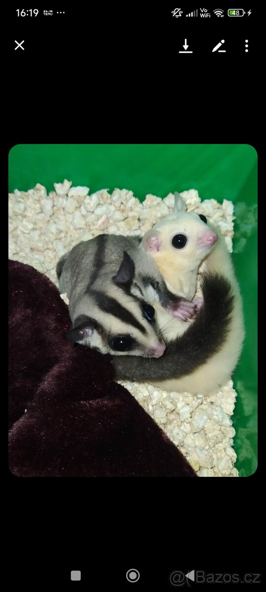 Vakoveverky + vybaveni - 11