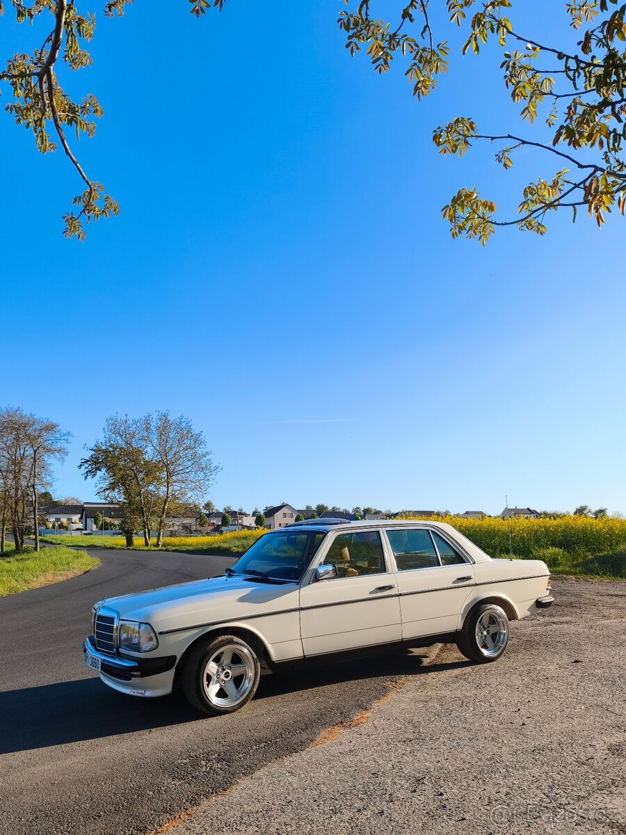 W123 230E Piano - 11