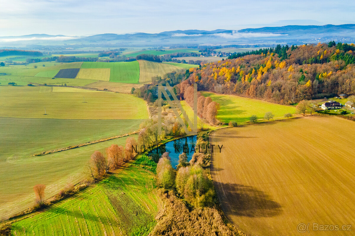 Prodej, rybník, 2 713 m², Týnec, okres Klatovy - 11