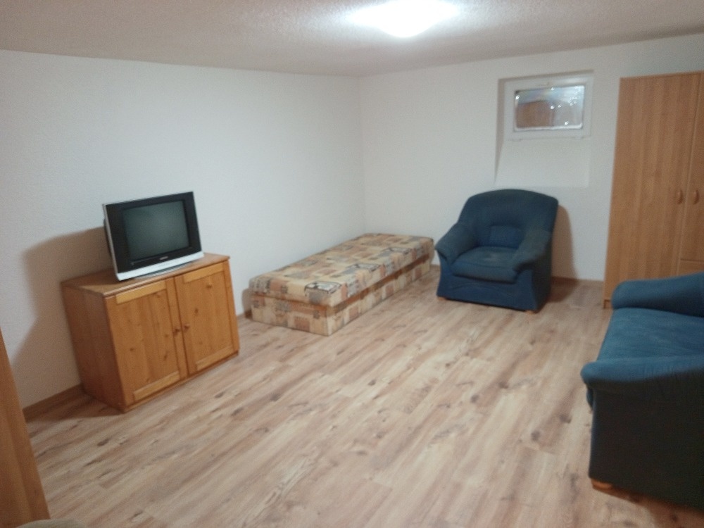 Byt 1+1 (cca. 45 m2)+ zahrada (700 m2), Slovany, Plzeň - 11