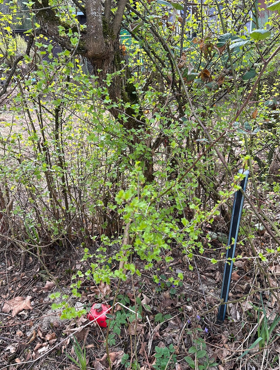 Chata - Řetová - Mandl - 11